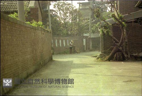 1950至2006年臺灣常民生活藏品圖，第1張