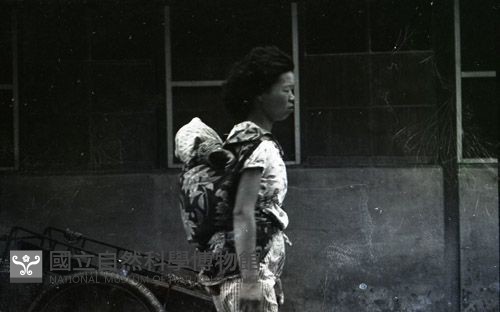 1950至2006年臺灣常民生活藏品圖，第1張
