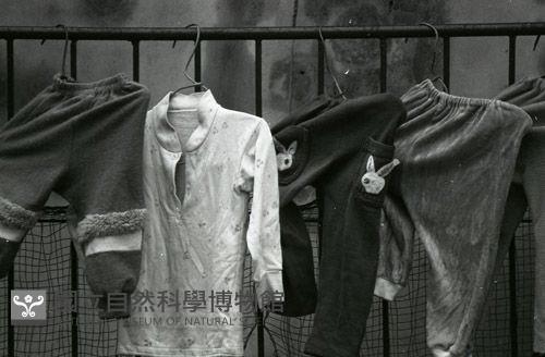 1950至2006年台灣常民生活藏品圖，第1張