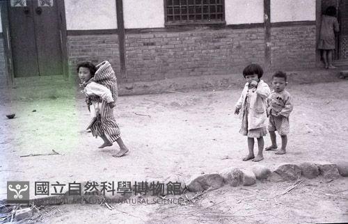1950至2006年臺灣常民生活藏品圖，第1張