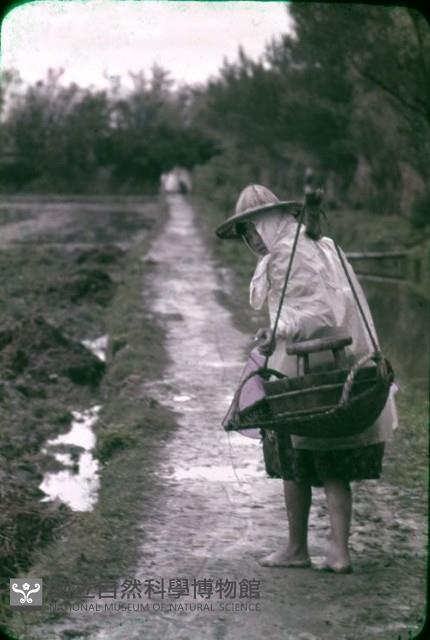 〈野ら師り〉農事達人（1950至2006年臺灣常民生活）藏品圖，第1張