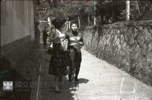 1950至2006年臺灣常民生活藏品圖，第1張