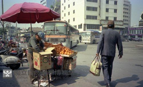 1950至2006年臺灣常民生活藏品圖，第1張