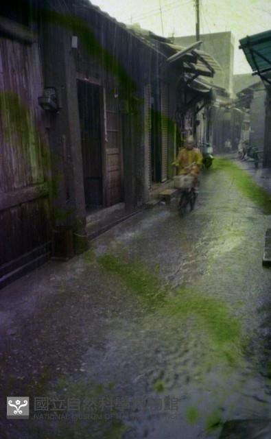 1950至2006年臺灣常民生活藏品圖，第1張