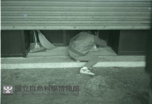 1950至2006年台灣常民生活藏品圖，第1張