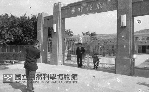 1950至2006年臺灣常民生活藏品圖，第1張