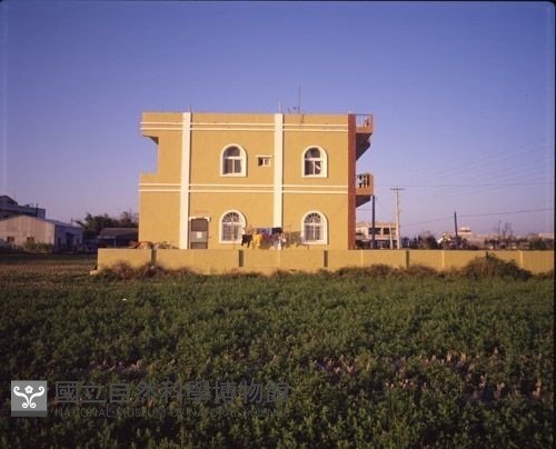 1950至2006年臺灣常民生活藏品圖，第1張