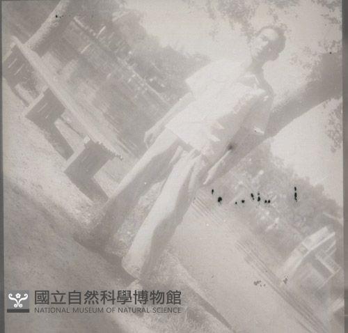 1950至2006年臺灣常民生活藏品圖，第1張