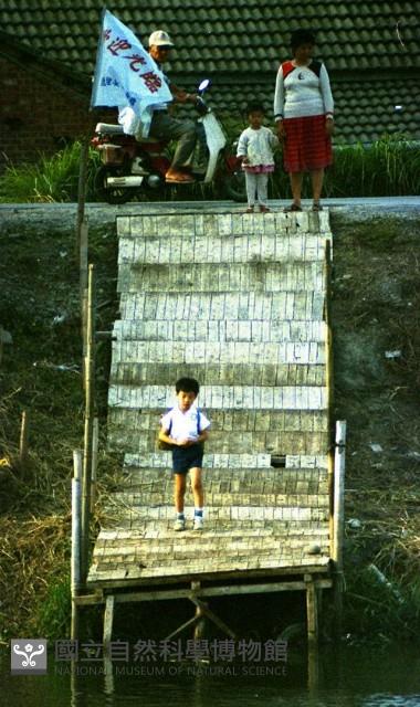 1950至2006年臺灣常民生活藏品圖，第1張