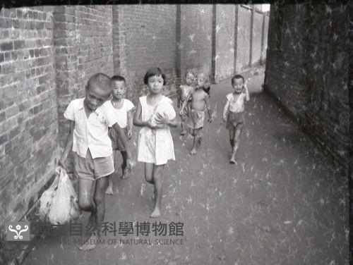 1950至2006年臺灣常民生活藏品圖，第1張