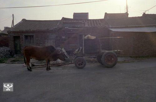 1950至2006年臺灣常民生活藏品圖，第1張