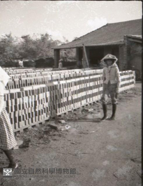 1950至2006年台灣常民生活藏品圖，第1張