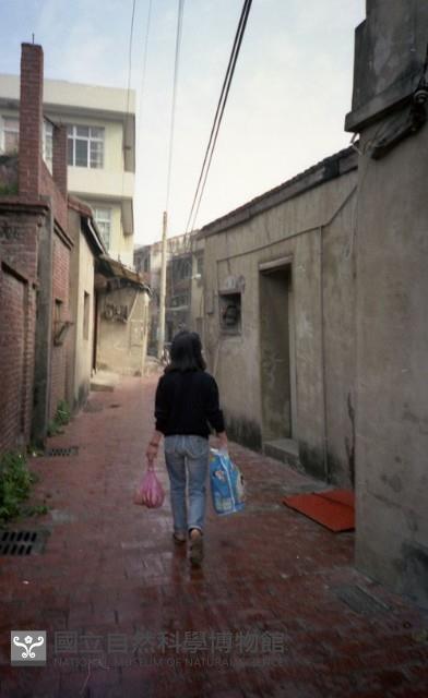1950至2006年臺灣常民生活藏品圖，第1張