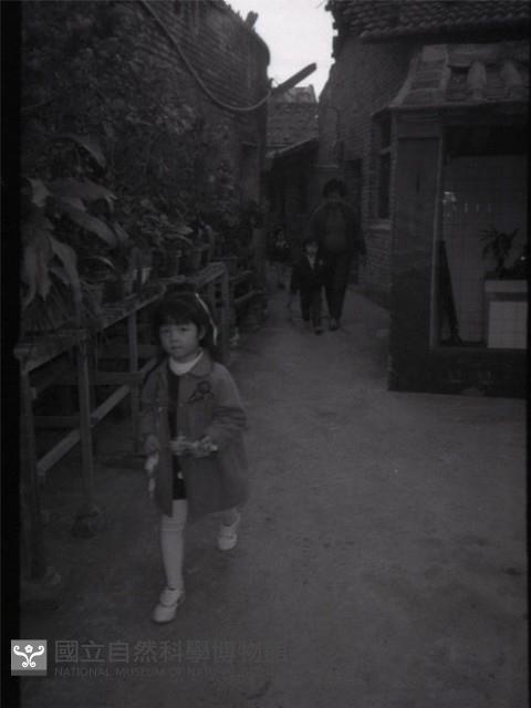 1950至2006年臺灣常民生活藏品圖，第1張