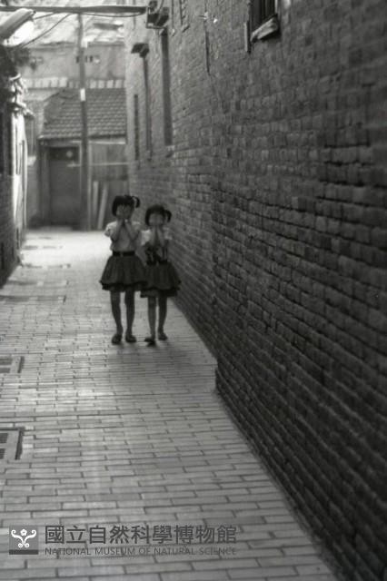 1950至2006年臺灣常民生活藏品圖，第1張