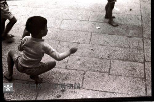 1950至2006年臺灣常民生活藏品圖，第1張