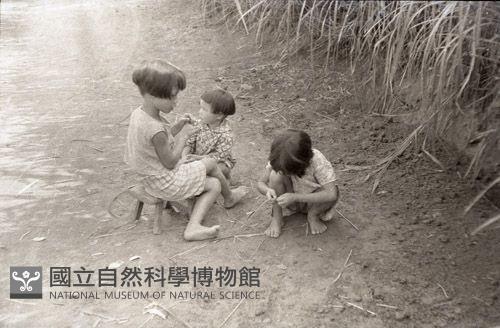 1950至2006年臺灣常民生活藏品圖，第1張