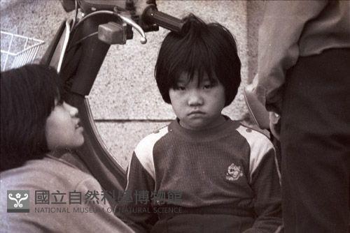 1950至2006年臺灣常民生活藏品圖，第1張