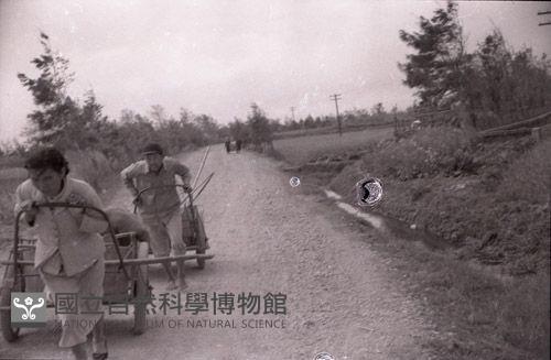 1950至2006年臺灣常民生活藏品圖，第1張