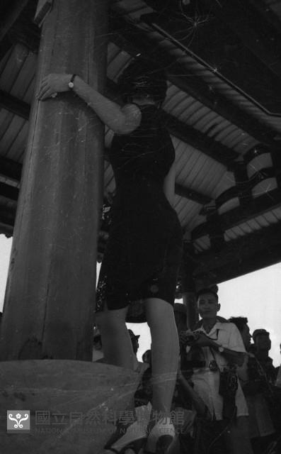 1950至2006年臺灣常民生活藏品圖，第1張