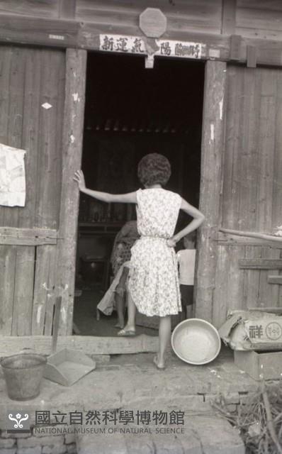 1950至2006年臺灣常民生活藏品圖，第1張
