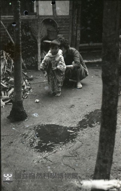 1950至2006年臺灣常民生活藏品圖，第1張