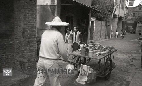 1950至2006年臺灣常民生活藏品圖，第1張