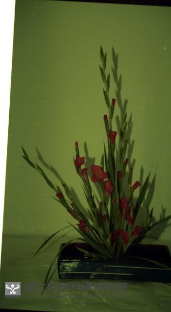 1950至2006年臺灣常民生活藏品圖，第1張