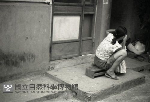 1950至2006年臺灣常民生活藏品圖，第1張