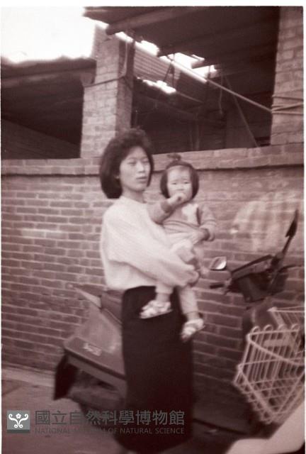 1950至2006年臺灣常民生活藏品圖，第1張