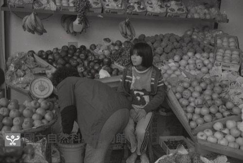 1950至2006年台灣常民生活藏品圖，第1張