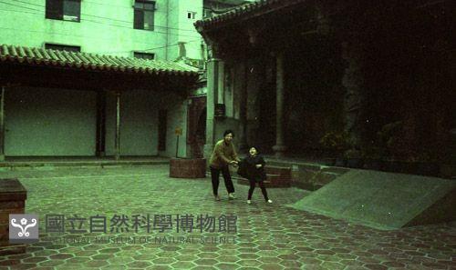 1950至2006年臺灣常民生活藏品圖，第1張