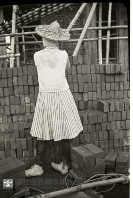 1950至2006年臺灣常民生活藏品圖，第1張