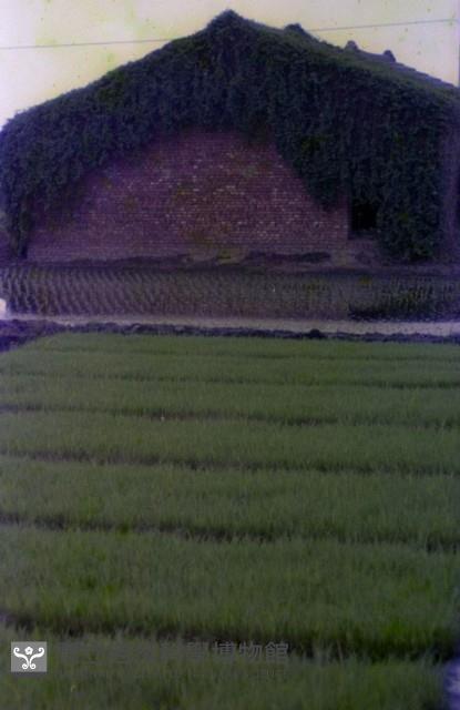 1950至2006年臺灣常民生活藏品圖，第1張