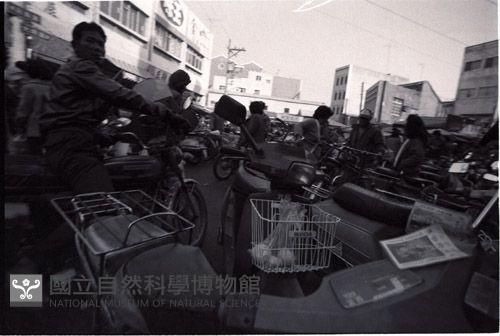 1950至2006年臺灣常民生活藏品圖，第1張