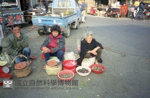 1950至2006年臺灣常民生活藏品圖，第1張