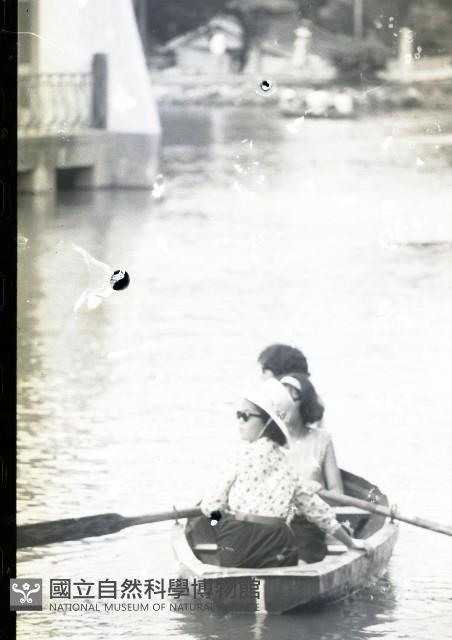 1950至2006年臺灣常民生活藏品圖，第1張