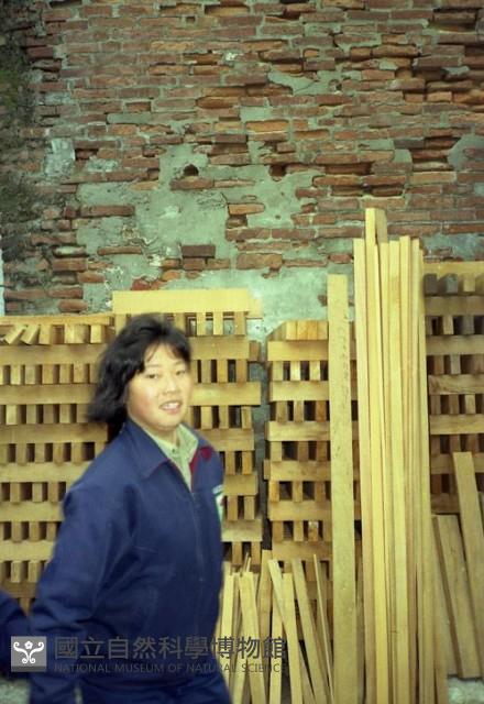 1950至2006年臺灣常民生活藏品圖，第1張