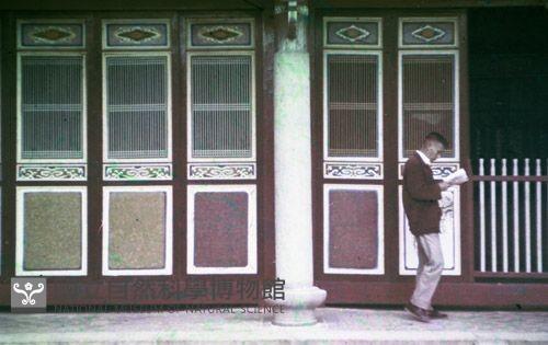 1950至2006年臺灣常民生活藏品圖，第1張