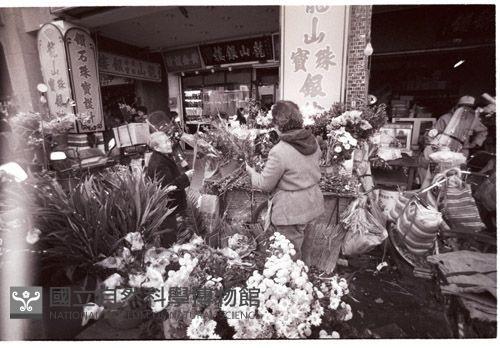 1950至2006年臺灣常民生活藏品圖，第1張