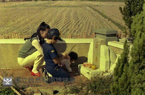 1950至2006年臺灣常民生活藏品圖，第1張