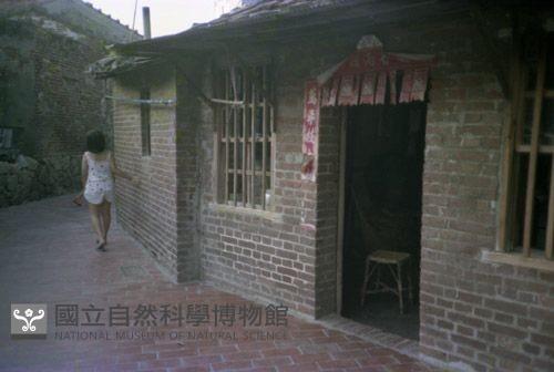 1950至2006年臺灣常民生活藏品圖，第1張