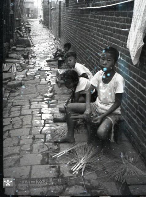 1950至2006年臺灣常民生活藏品圖，第1張