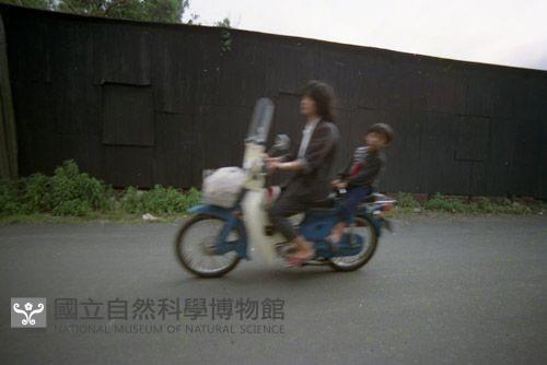 1950至2006年臺灣常民生活藏品圖，第1張