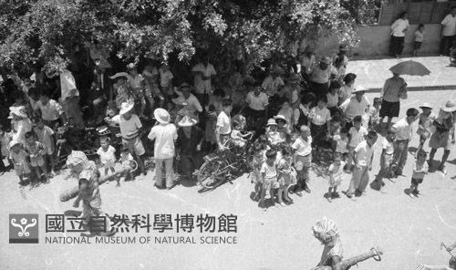 1950至2006年臺灣常民生活藏品圖，第1張