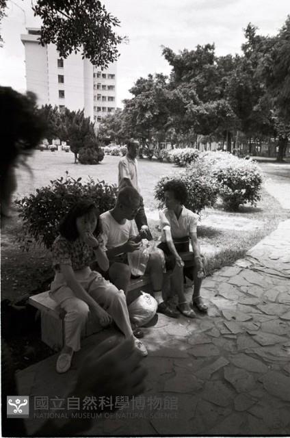 1950至2006年臺灣常民生活藏品圖，第1張