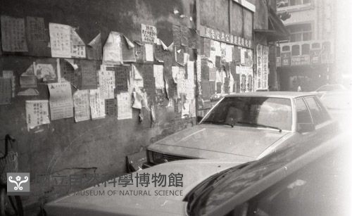 1950至2006年臺灣常民生活藏品圖，第1張