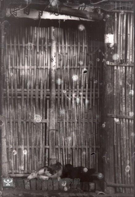 1950至2006年臺灣常民生活藏品圖，第1張