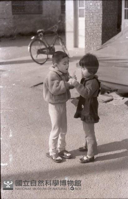 1950至2006年臺灣常民生活藏品圖，第1張