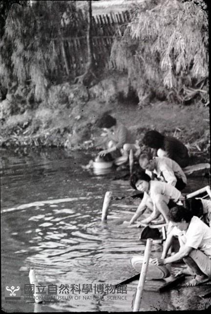 1950至2006年臺灣常民生活藏品圖，第1張